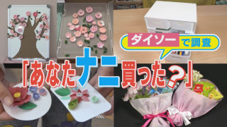 【ダイソーで何買った?】100円ショップ“今売れている商品”調査 ダイソーの買い物客に聞き込み!【チャント!特集】